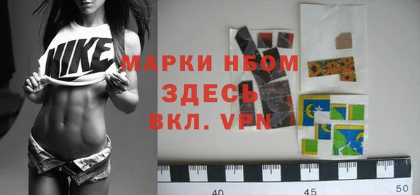 сатива Новодвинск