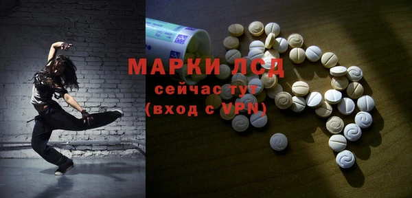 сатива Новодвинск