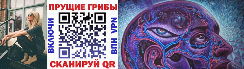 Галлюциногенные грибы прущие грибы Нелидово